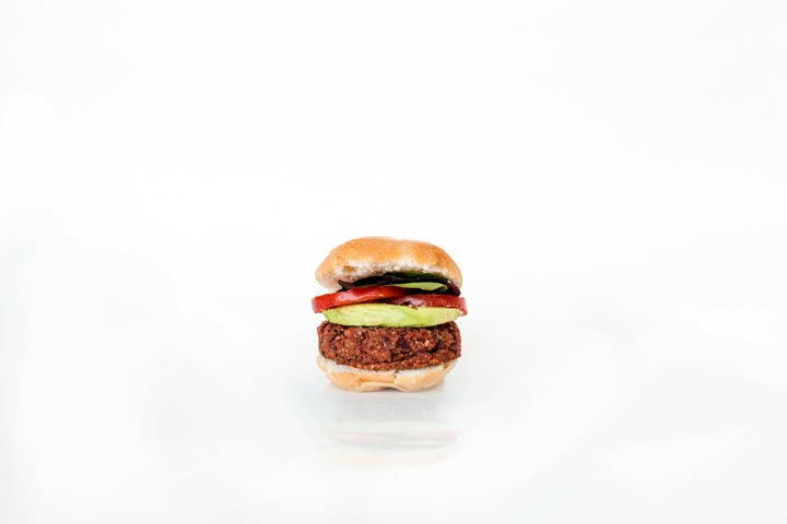 Input photo: a burger on a white background